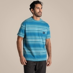 Tranquil Blue Stripe