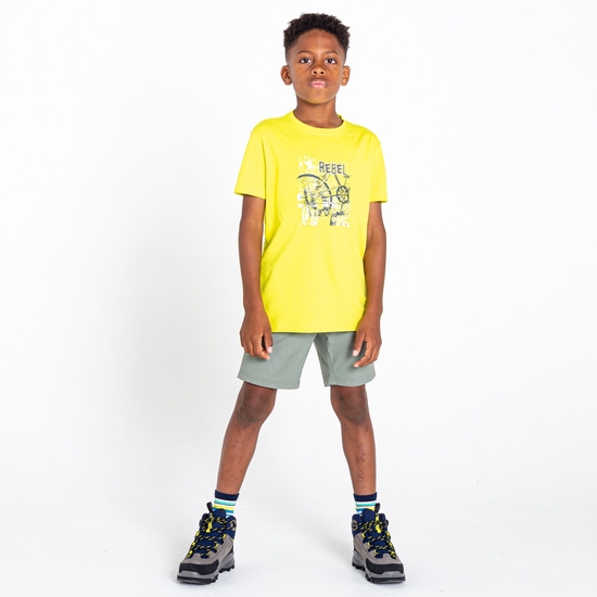 Dare 2b - Kids' Reprise II Lightweight Shorts Agave Green