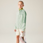 Celadon