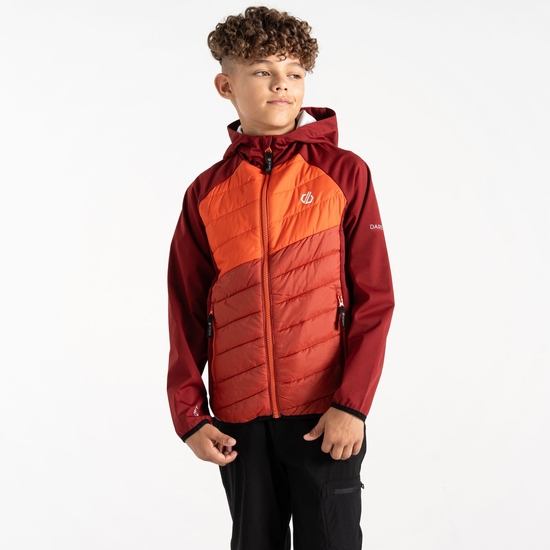 Dare 2b - Dziecięca kurtka hybrydowa Explore Czerwony