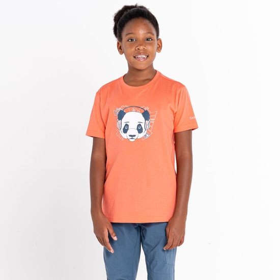 Dare 2b - Kids' Trailblazer Graphic T-Shirt Neon Peach