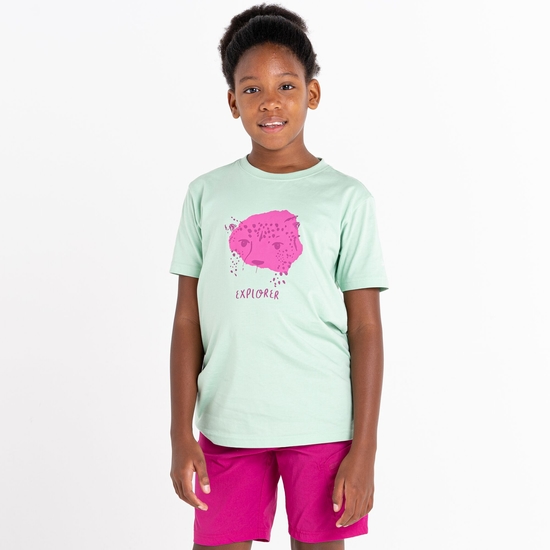 Dare 2b - Kids' Trailblazer Graphic T-Shirt Grayed Jade