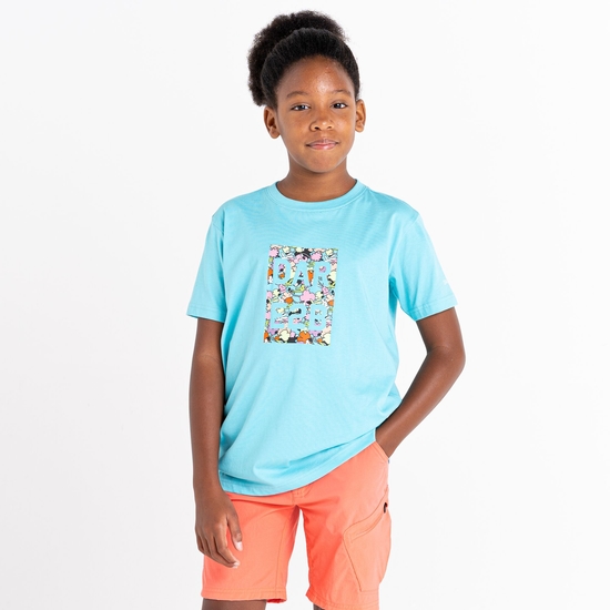 Dare 2b - Kids' Trailblazer Graphic T-Shirt Sea Jet Blue