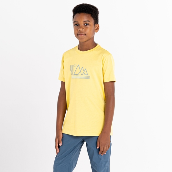 Dare 2b - Dziecięca koszulka Trailblazer Żółty