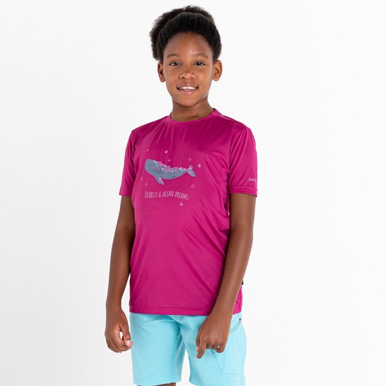 Dare 2b - Kids' Amuse Graphic T-Shirt Fuchsia