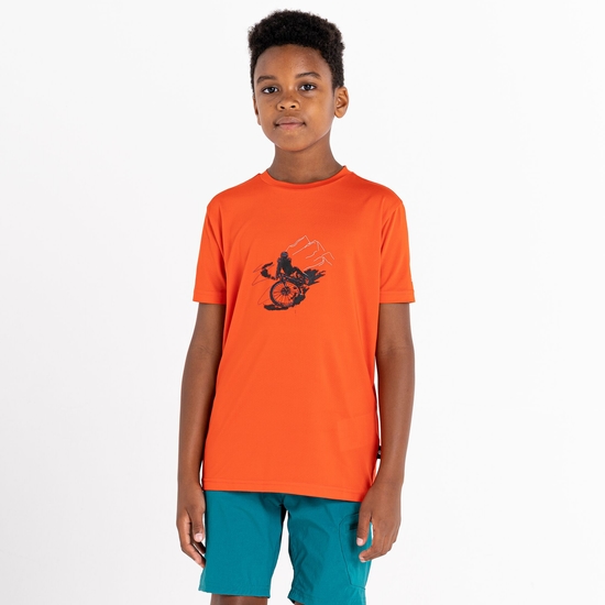 Dare 2b - Kids' Amuse Graphic T-Shirt Trailblaze Red