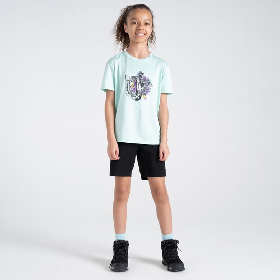 Kids' Trailblazer II T-Shirt Mint Green