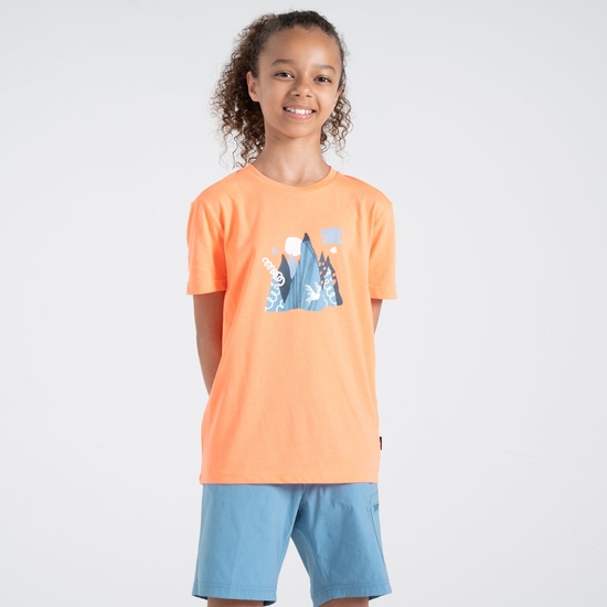 Dare 2b - Dziecięca koszulka Trailblazer II Pomarańczowy