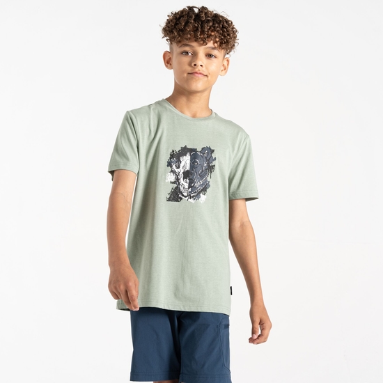 Dare 2b - Dziecięca koszulka Trailblazer II Zielony