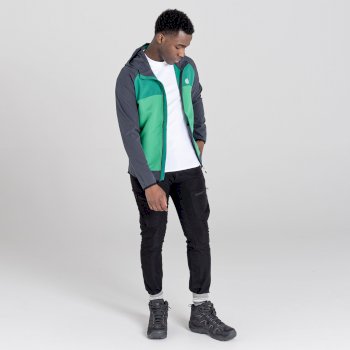 Dare 2b - Men's Aptile Hooded Softshell Jacket Ebony Grey Ultramarine Green