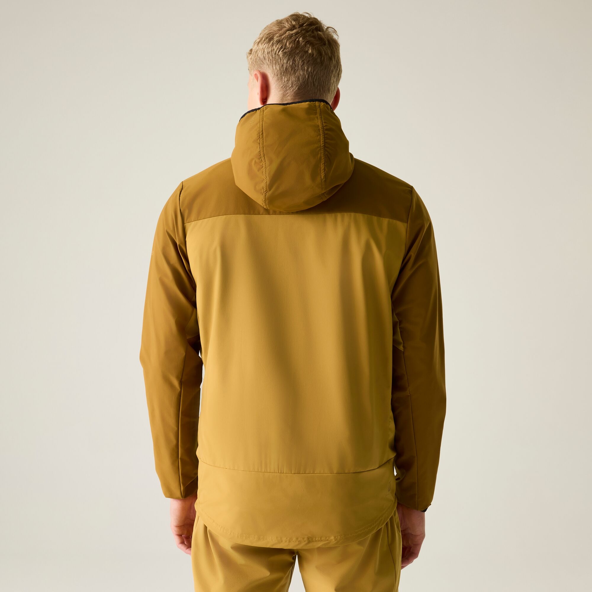 Dare 2b   Softshell męski Endurance Brązowy