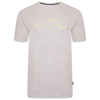 Dare 2b - Men's Differentiate Graphic T-Shirt Ash Grey