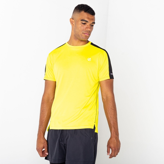 Dare 2b - Męska koszulka szybkoschnąca Discernible Żółty