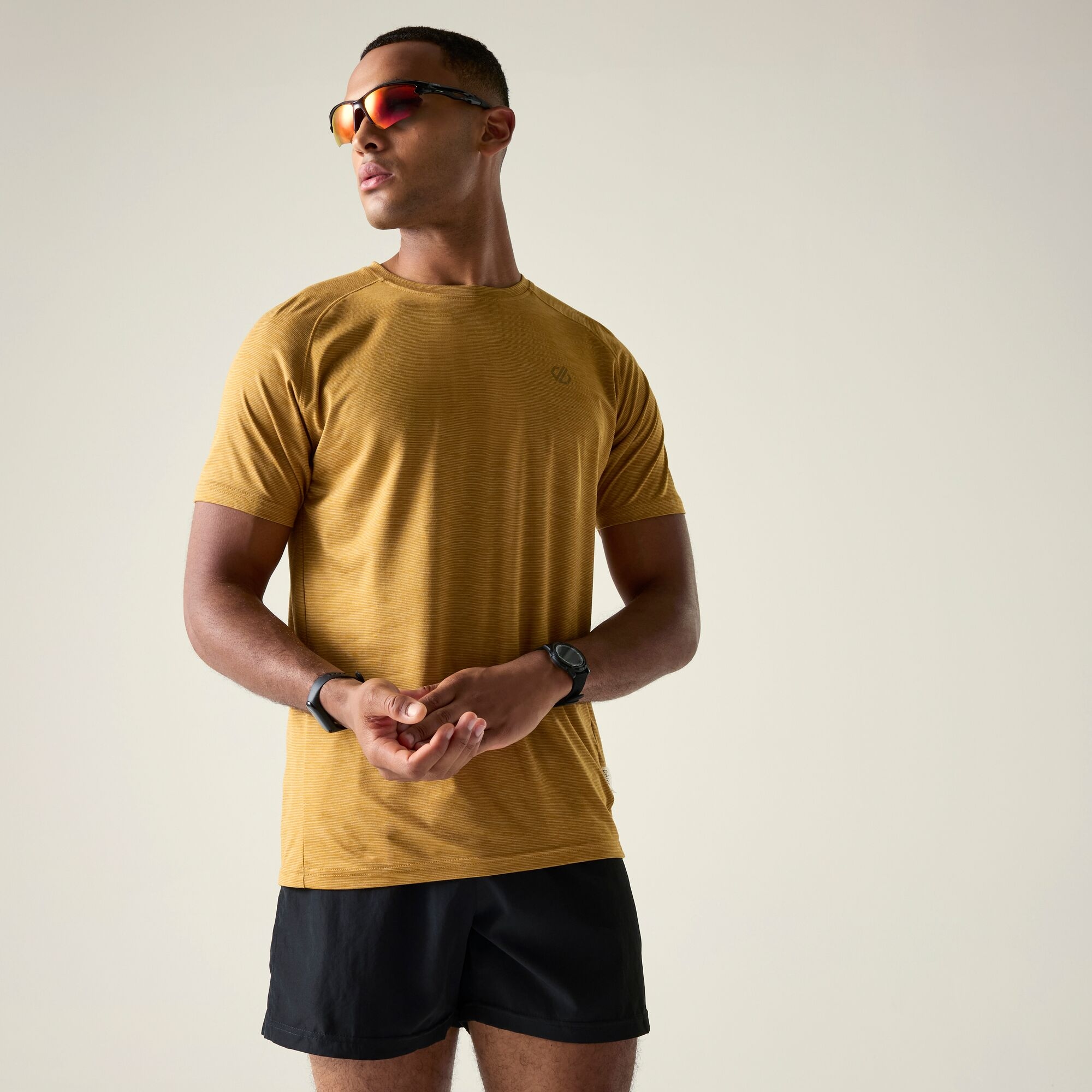 Dare 2b Koszulka męska szybkoschnąca Persist Brązowy