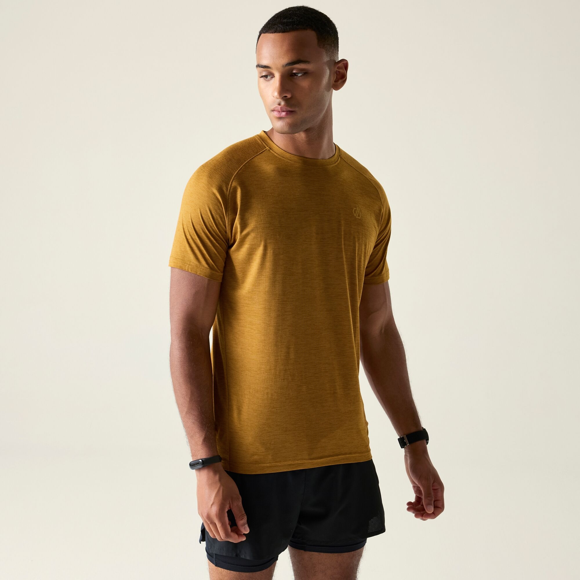 Dare 2b Koszulka męska szybkoschnąca Persist Brązowy