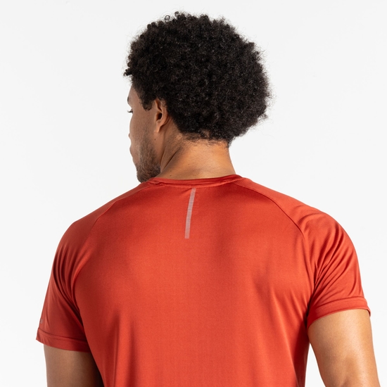 Dare 2b - Men's Accelerate Fitness T-Shirt Tuscan Red