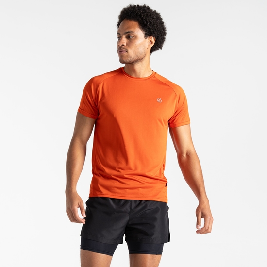 Dare 2b - Men's Accelerate Fitness T-Shirt Cinnamon