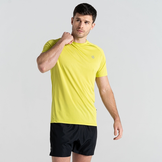 Dare 2b - Men's Accelerate Fitness T-Shirt Green Algae