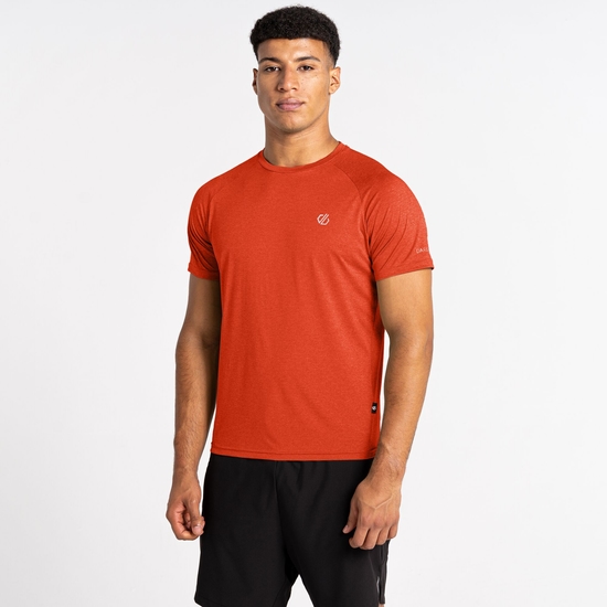 Dare 2b - Men's Accelerate Fitness T-Shirt Roobios Tea Brown 