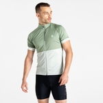 Hedge Green & Aqua Grey 