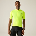 Żółty