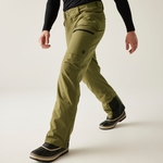 Olive Green