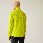 Neon Spring