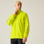 Neon Spring