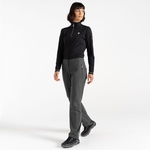 Ebony Grey