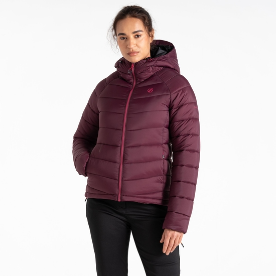 Dare 2b - Women's Mountain Series Baffled Jacket Fig Purple