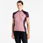 Lilas & Deep Plum 