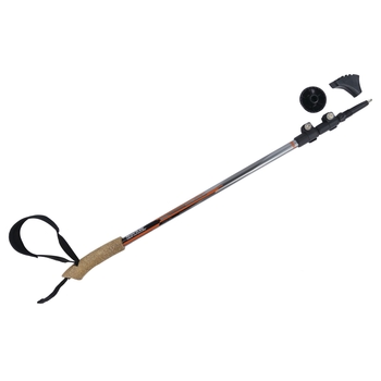 Bâtons de marche nordique Noir