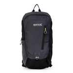 Black Seal Grey
