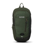 Dark Khaki Green