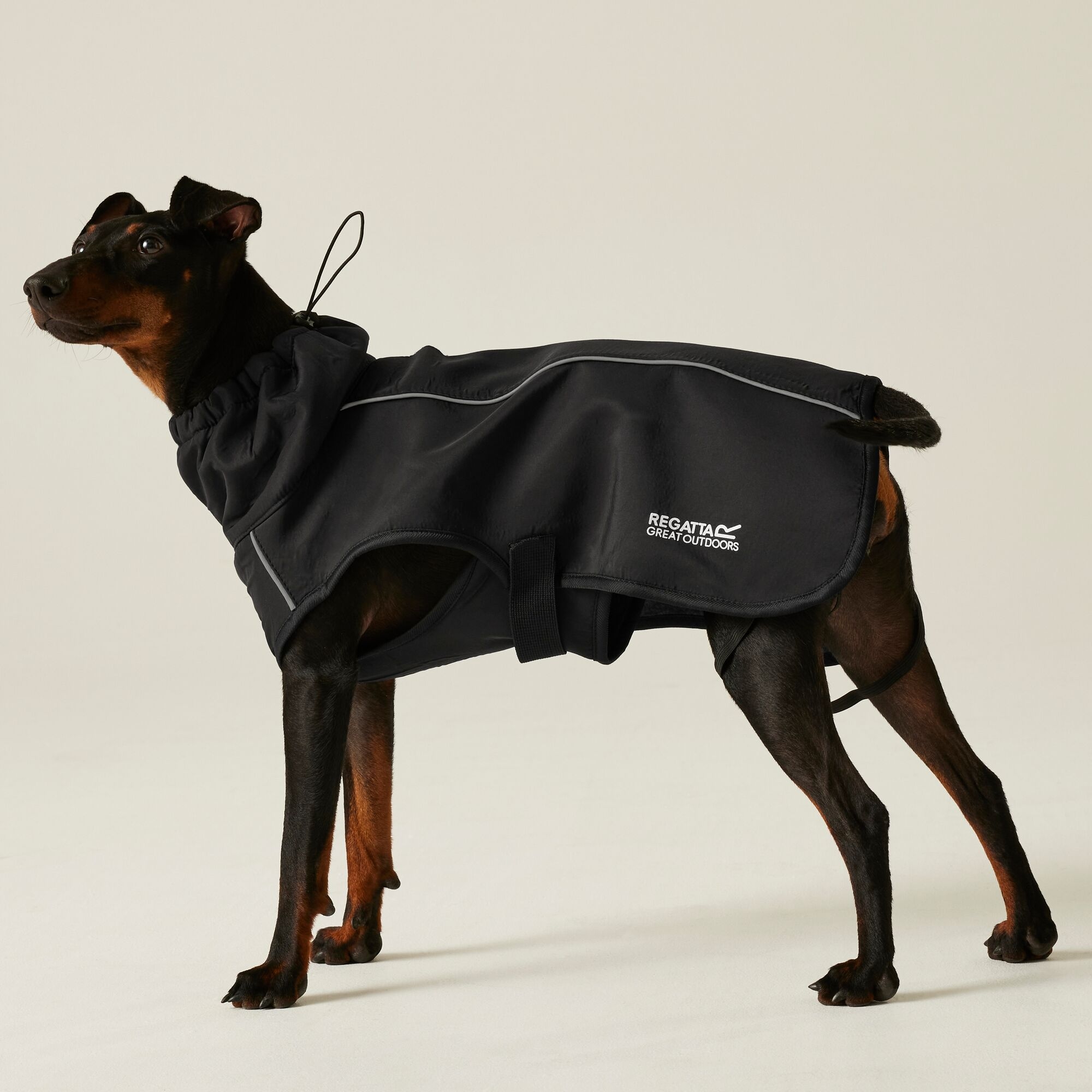 Regatta Softshell Dog Coat Size: M Unisex Black