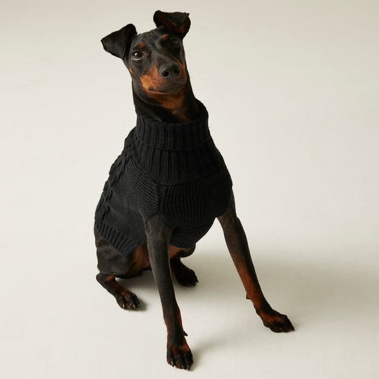 Knitted Dog Jumper Black