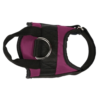 Regatta dog lead