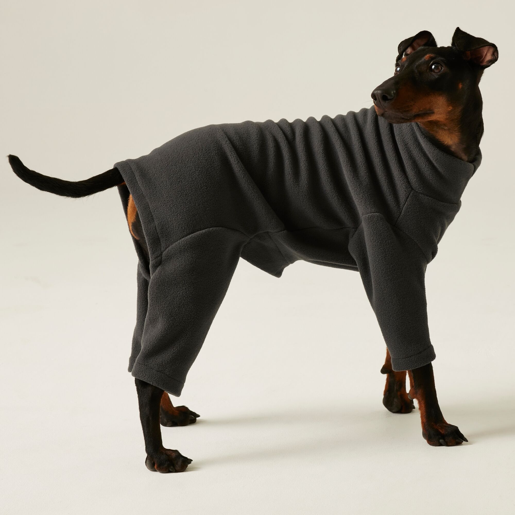 Regatta Dog Mud Suit Size: L Unisex Grey