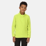 Bright Kiwi