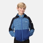 Strong Blue Navy
