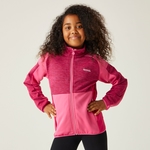 Flamingo Pink