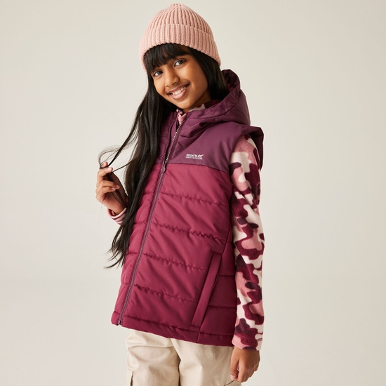 Kids' Lofthouse Gilet Fig