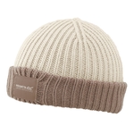 Light Vanilla Warm Taupe