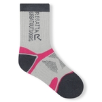 Light Steel Raspberry Rose 