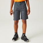 Seal Grey 