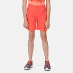 Neon Peach