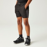 Black Seal Grey 
