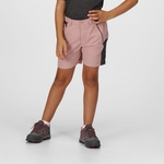 Dusky Rose Seal Grey 