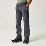 Seal Grey Black 