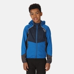 Bleu